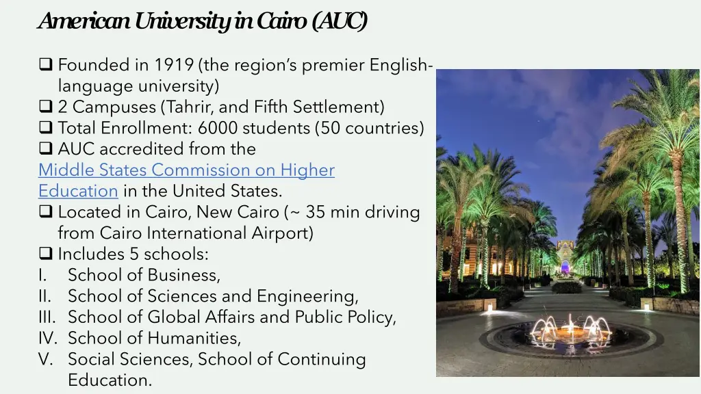 american university in cairo auc