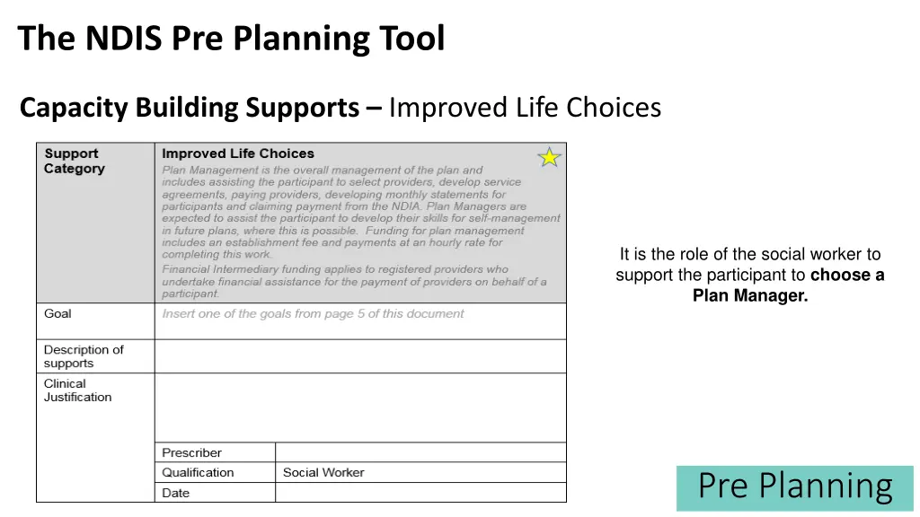 the ndis pre planning tool 29