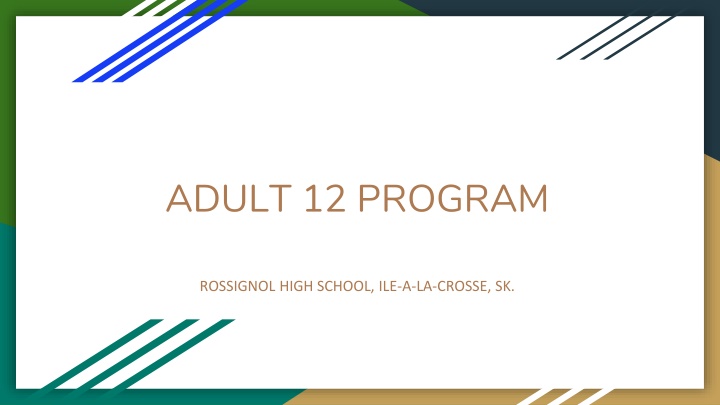 adult 12 program