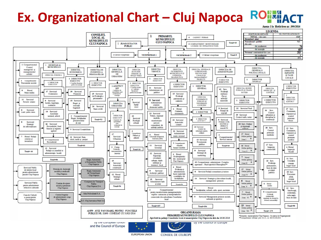 ex organizational chart cluj napoca
