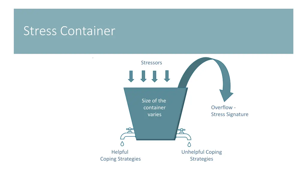 stress container