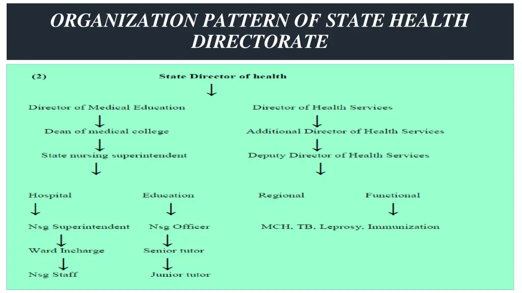 organization pattern of state health directorate