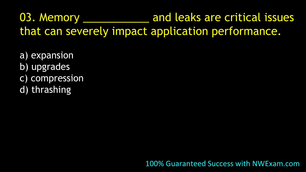 03 memory and leaks are critical issues that