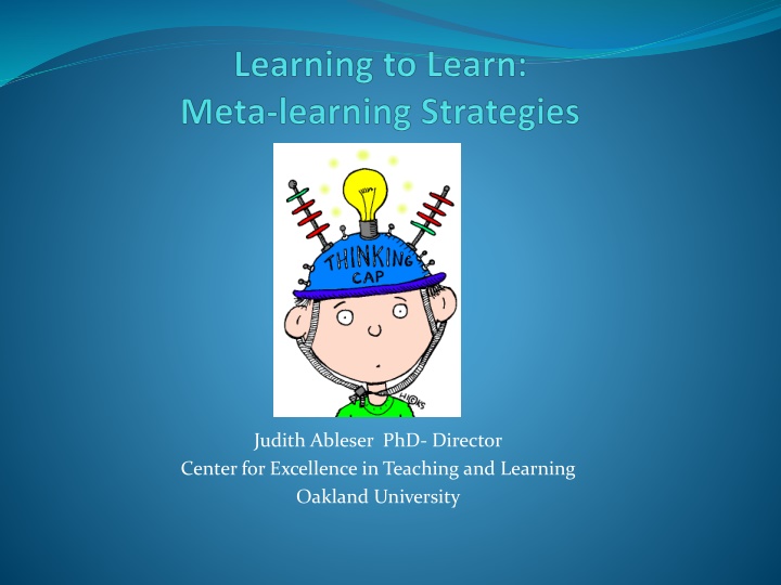 judith ableser phd director center for excellence