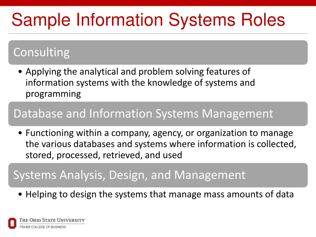 sample information systems roles