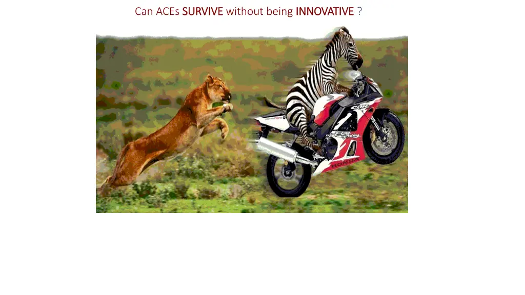 can aces survive