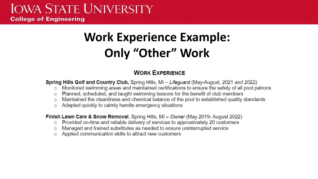 work experience example only other work