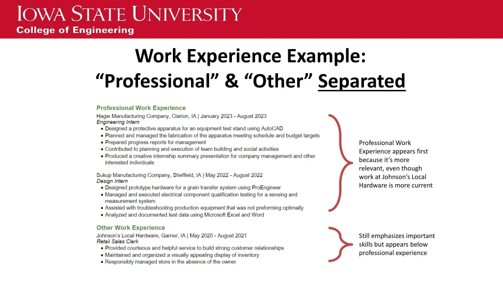 work experience example professional other 1