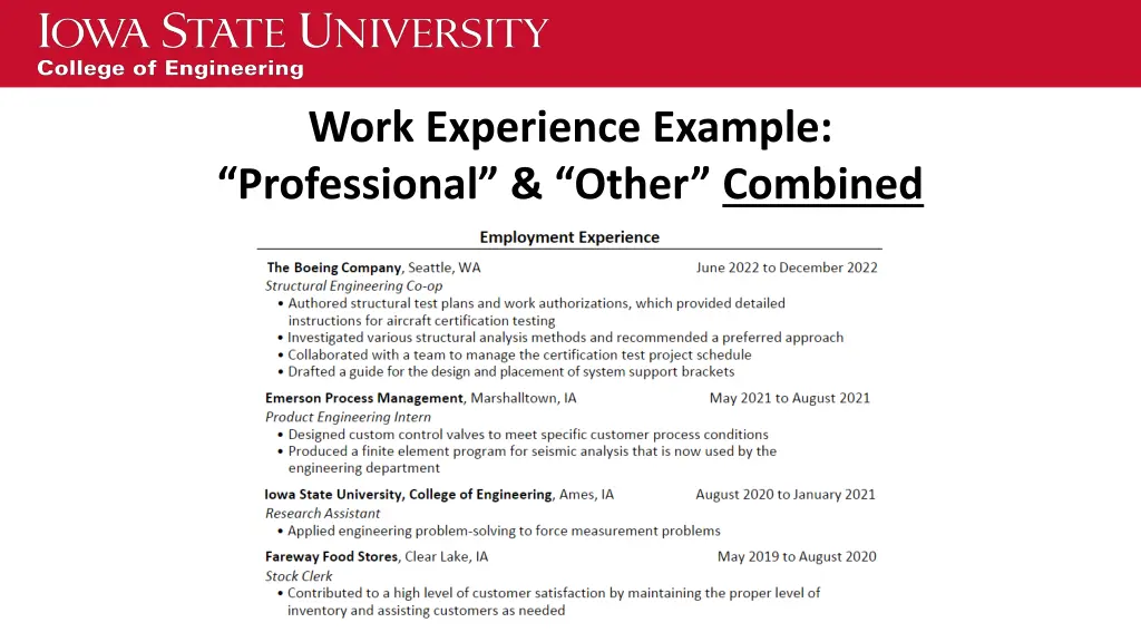 work experience example professional other