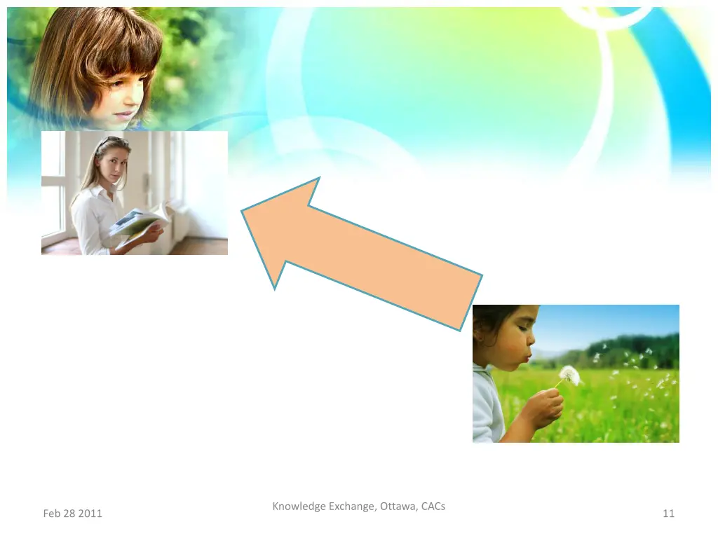 knowledge exchange ottawa cacs