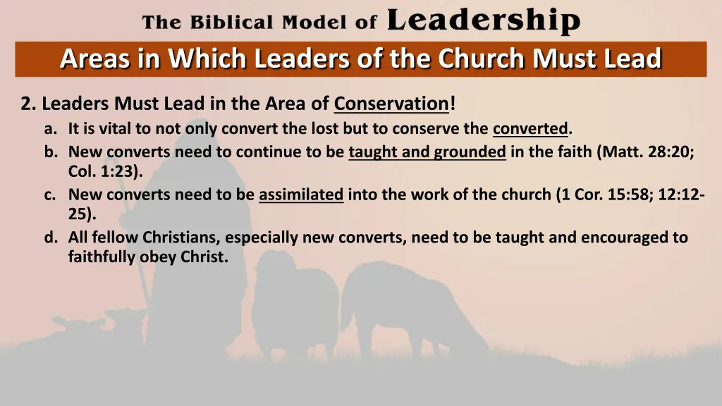 areas in which leaders of the church must lead 1