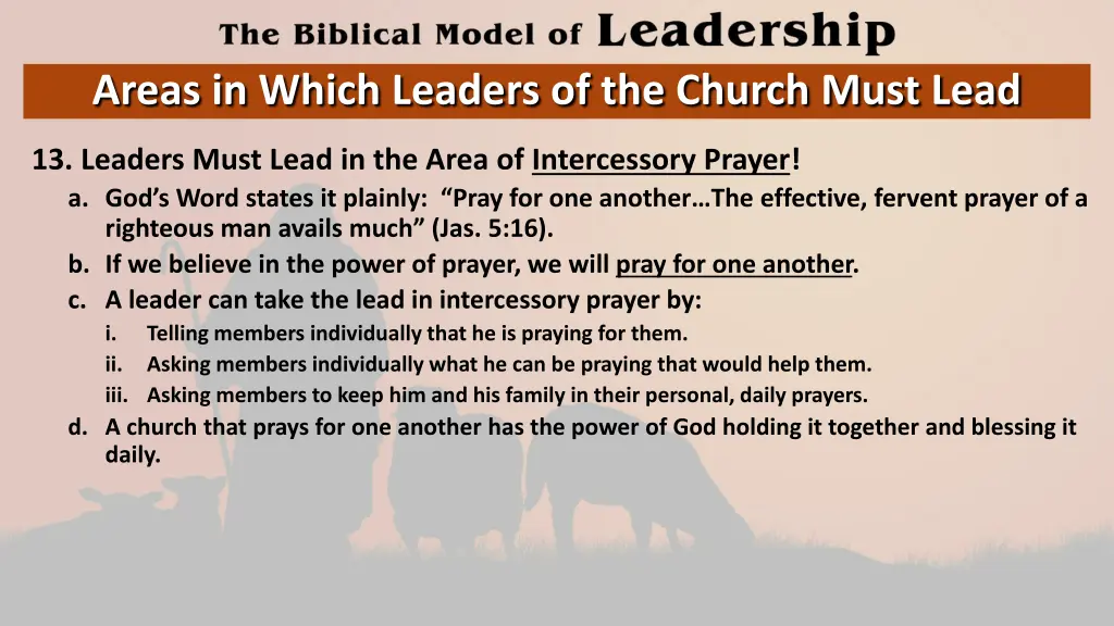 areas in which leaders of the church must lead 12