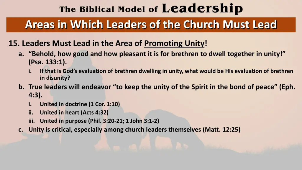 areas in which leaders of the church must lead 14