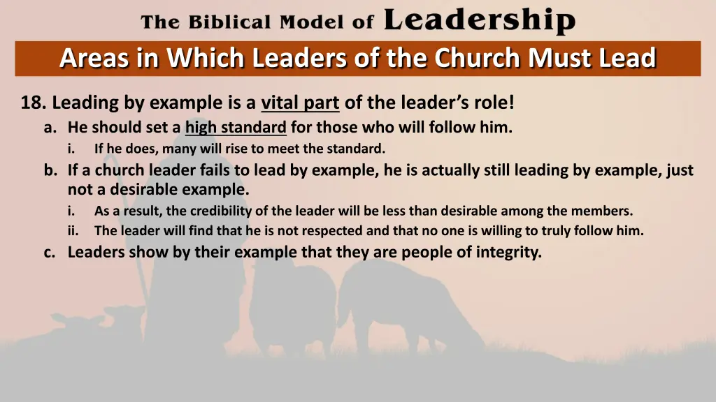 areas in which leaders of the church must lead 17