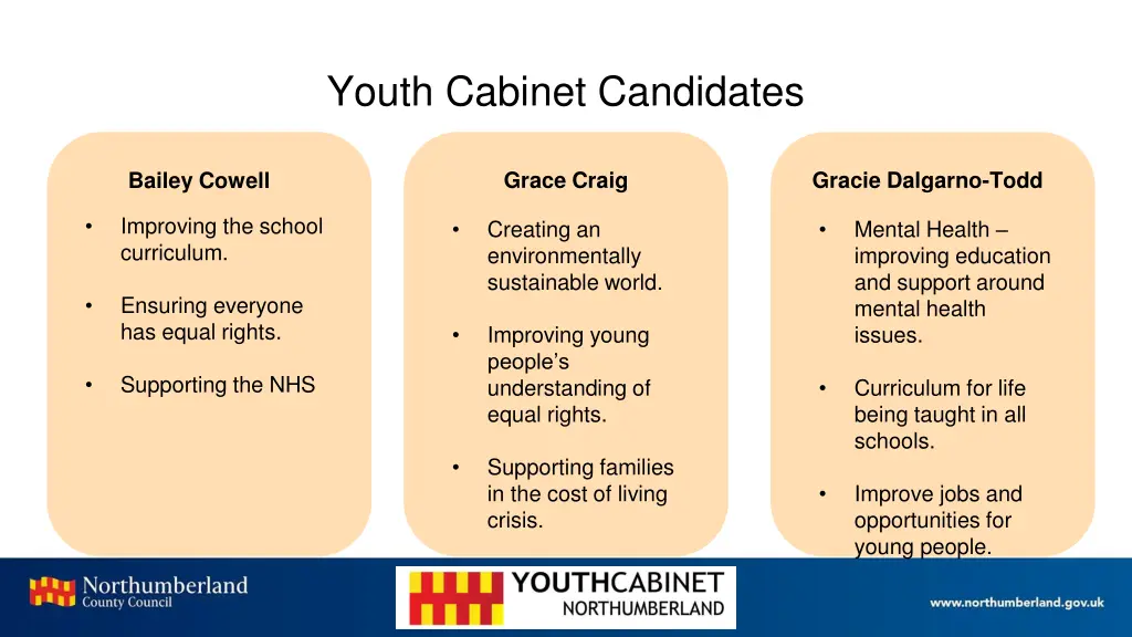 youth cabinet candidates 1