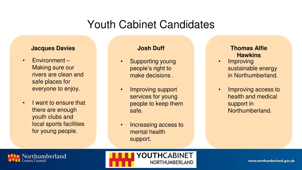 youth cabinet candidates 2