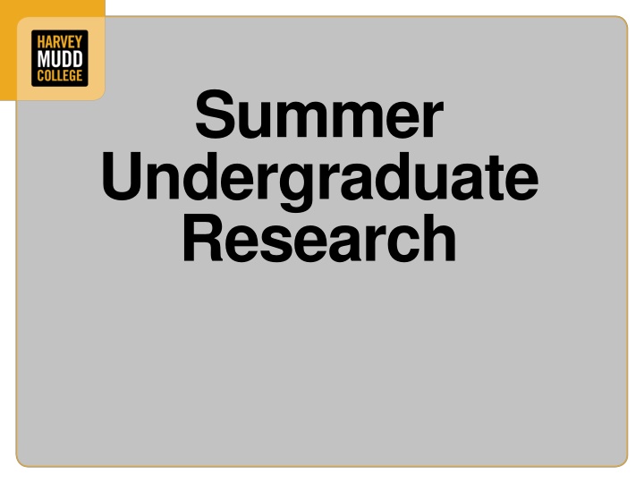 summer undergraduate research
