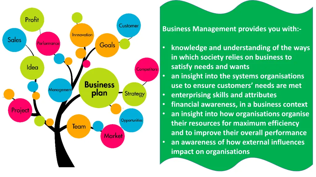 business management provides you with