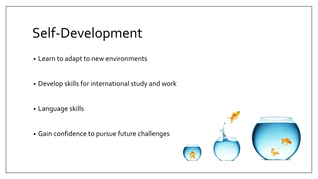 self development