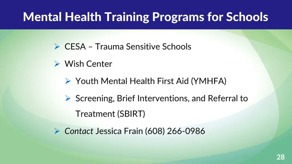 mental health training programs for schools