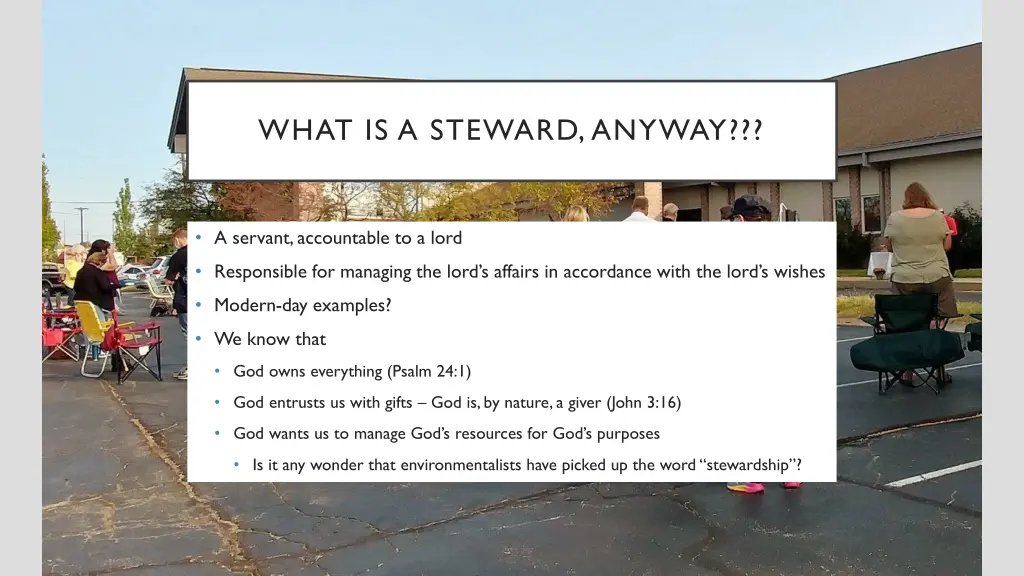 what is a steward anyway