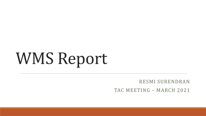wms report
