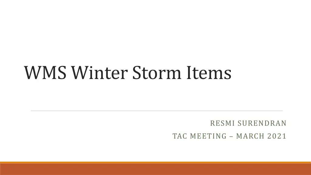wms winter storm items