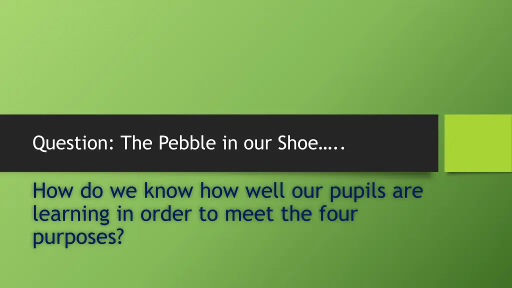question the pebble in our shoe