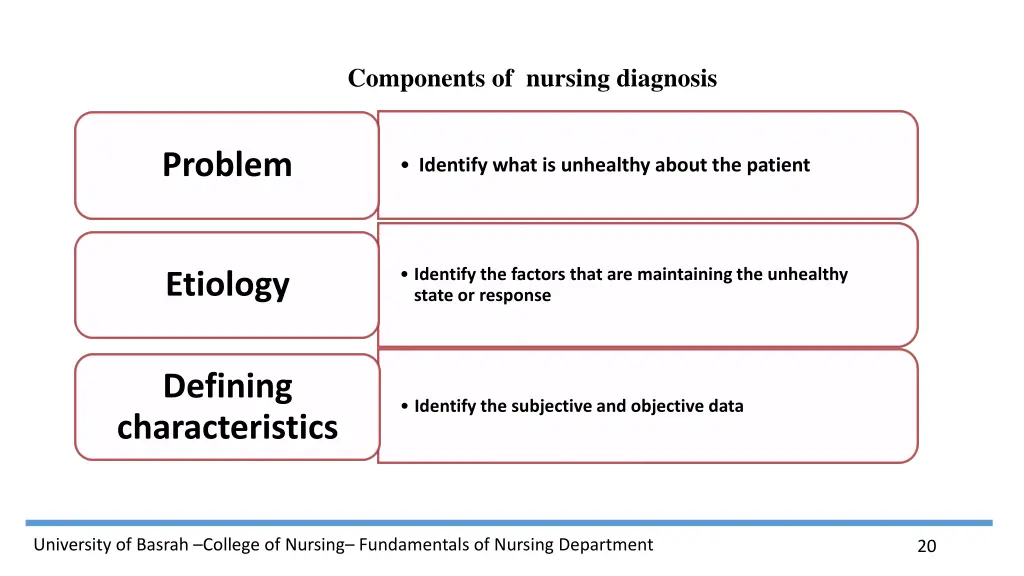 components of nursing diagnosis