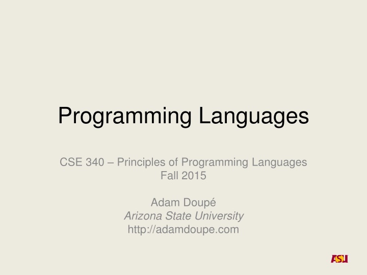 programming languages