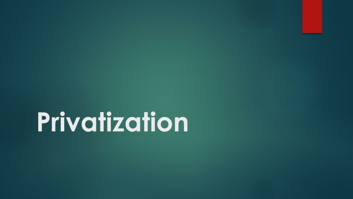 privatization
