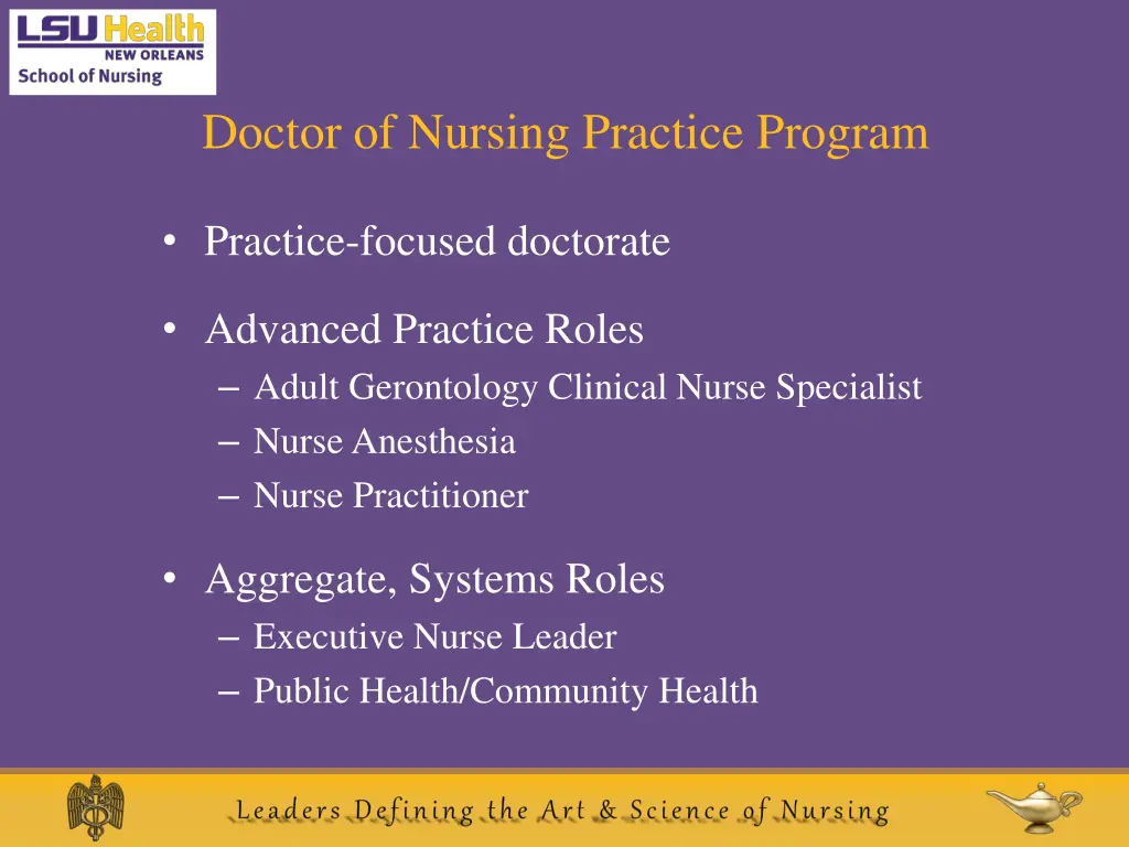 doctor of nursing practice program