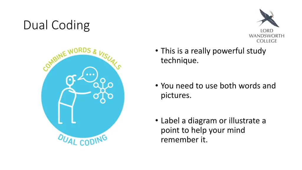 dual coding