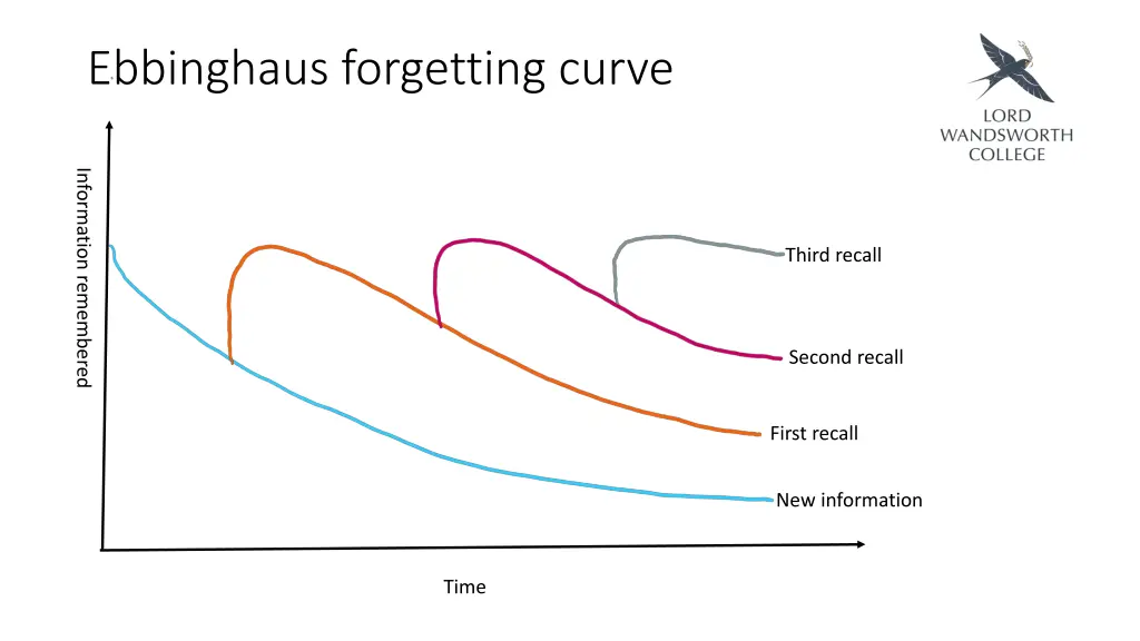 ebbinghaus forgetting curve