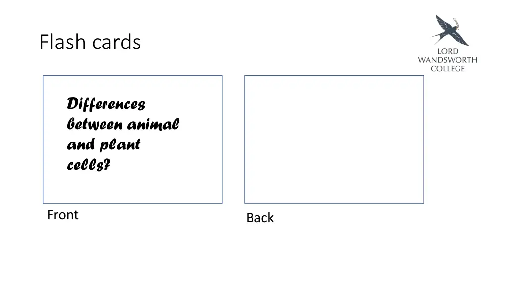 flash cards