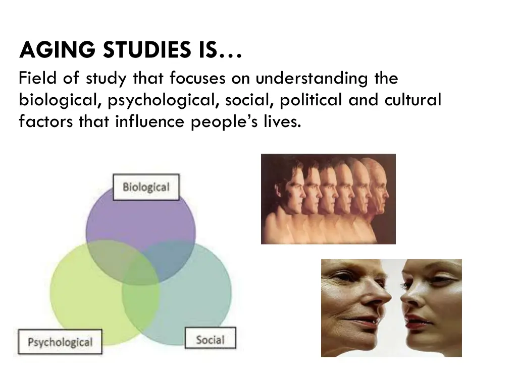 aging studies is field of study that focuses