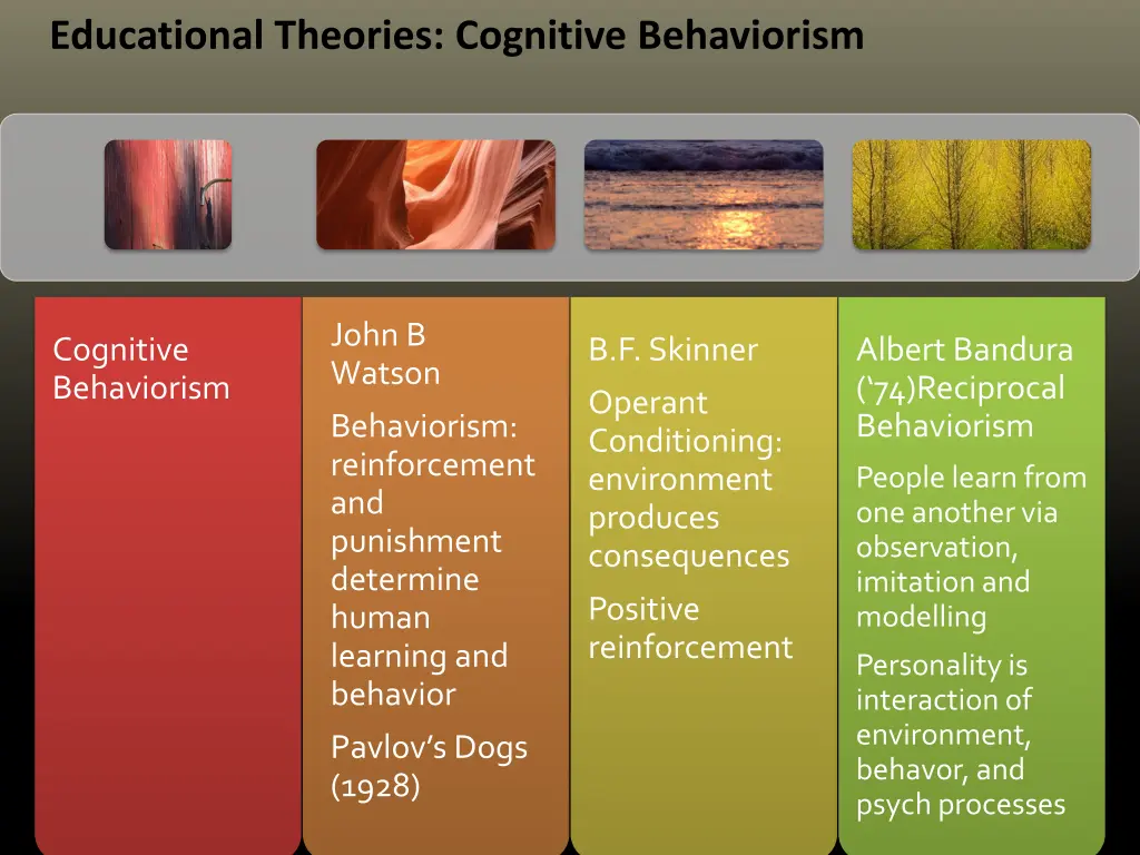 educational theories cognitive behaviorism