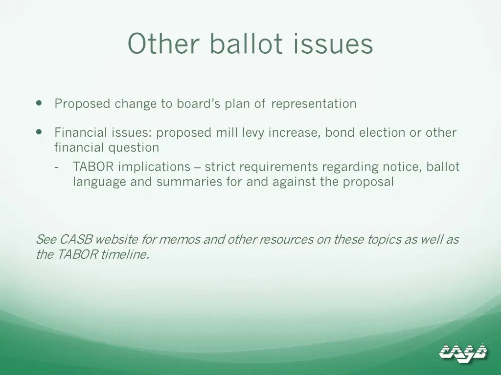 other ballot issues