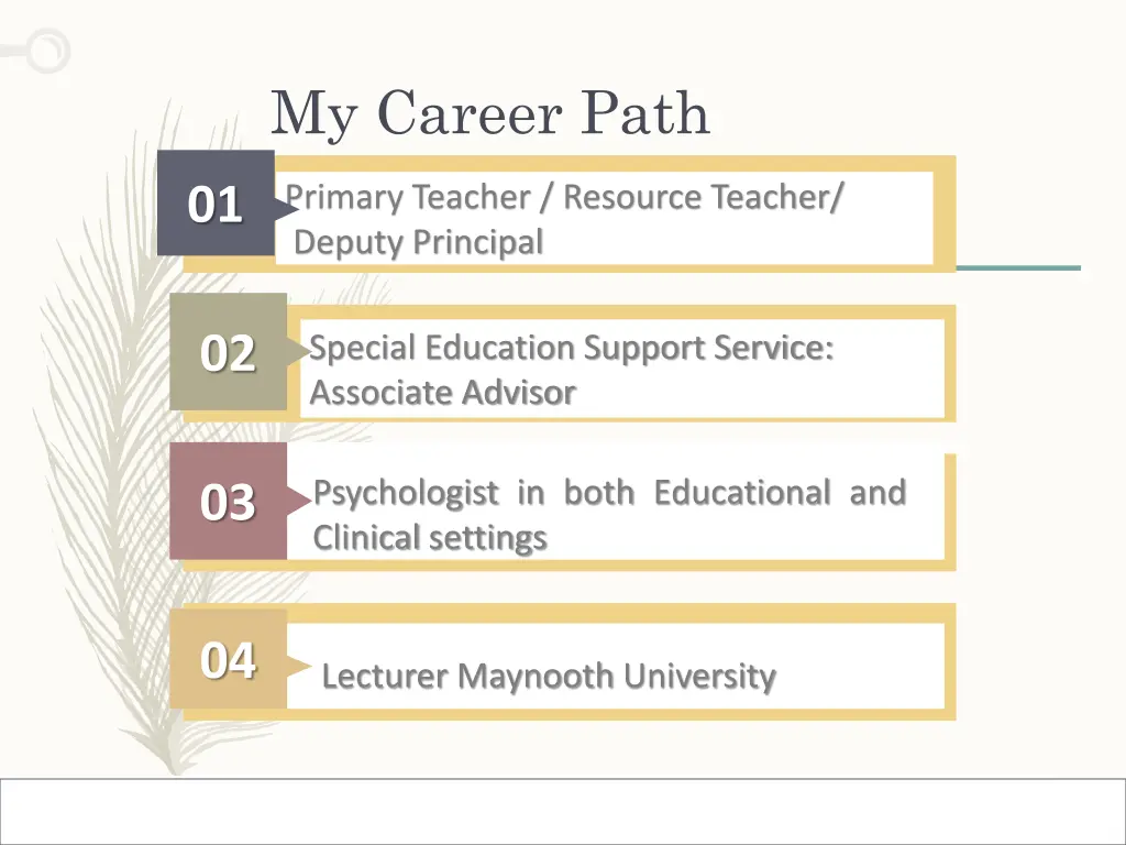 my career path