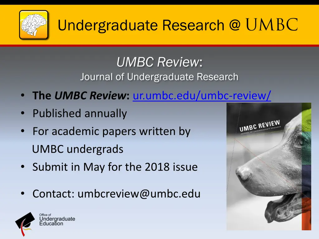 undergraduate research @ 4