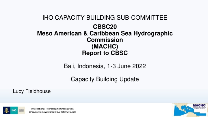 iho capacity building sub committee cbsc20 meso