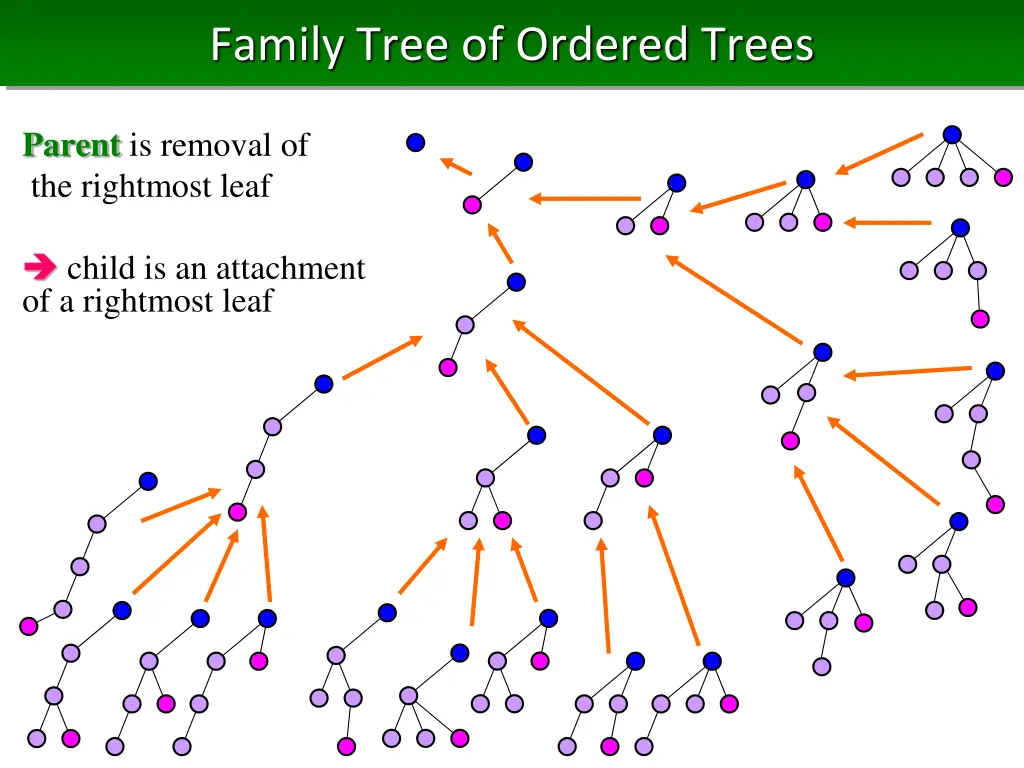 family tree of ordered trees