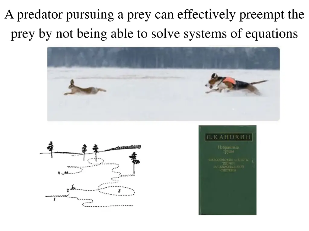 a predator pursuing a prey can effectively
