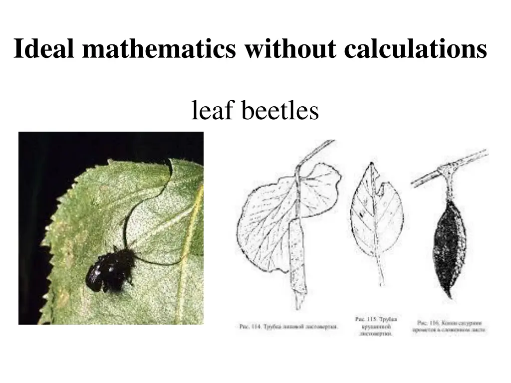 ideal mathematics without calculations