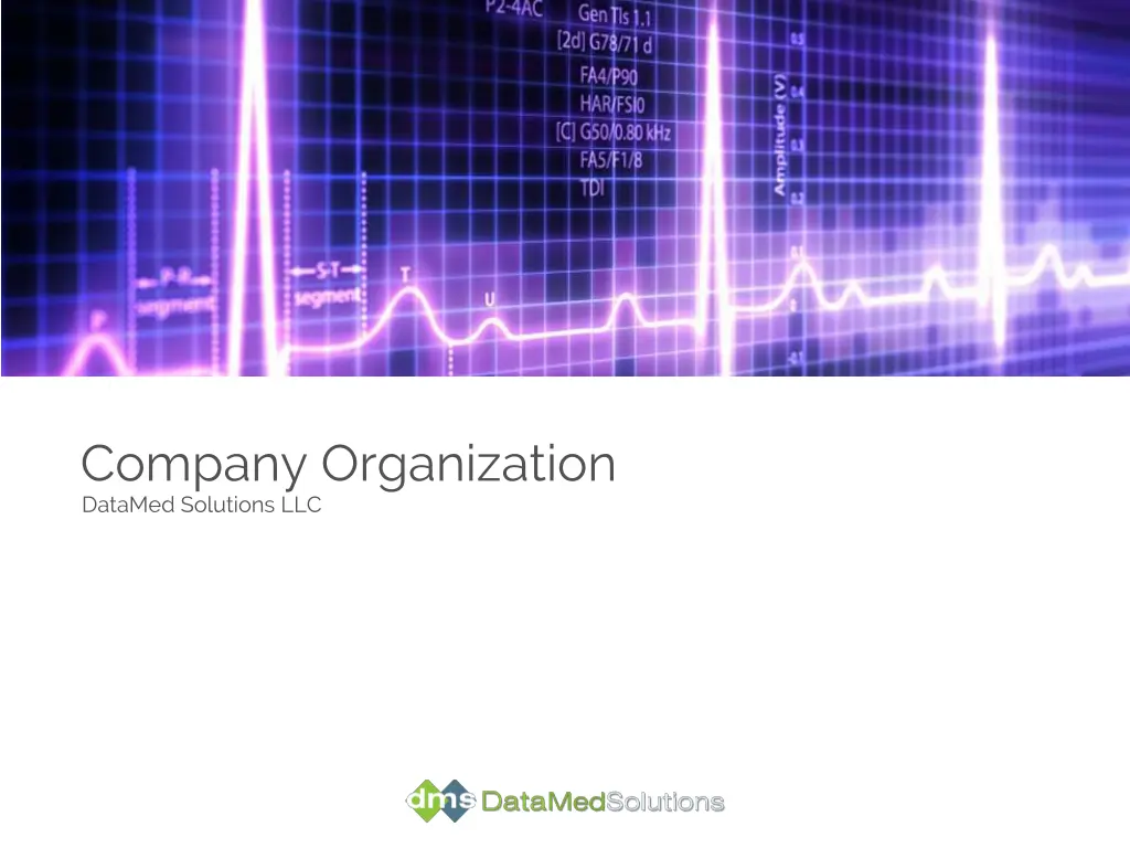 company organization datamed solutions llc