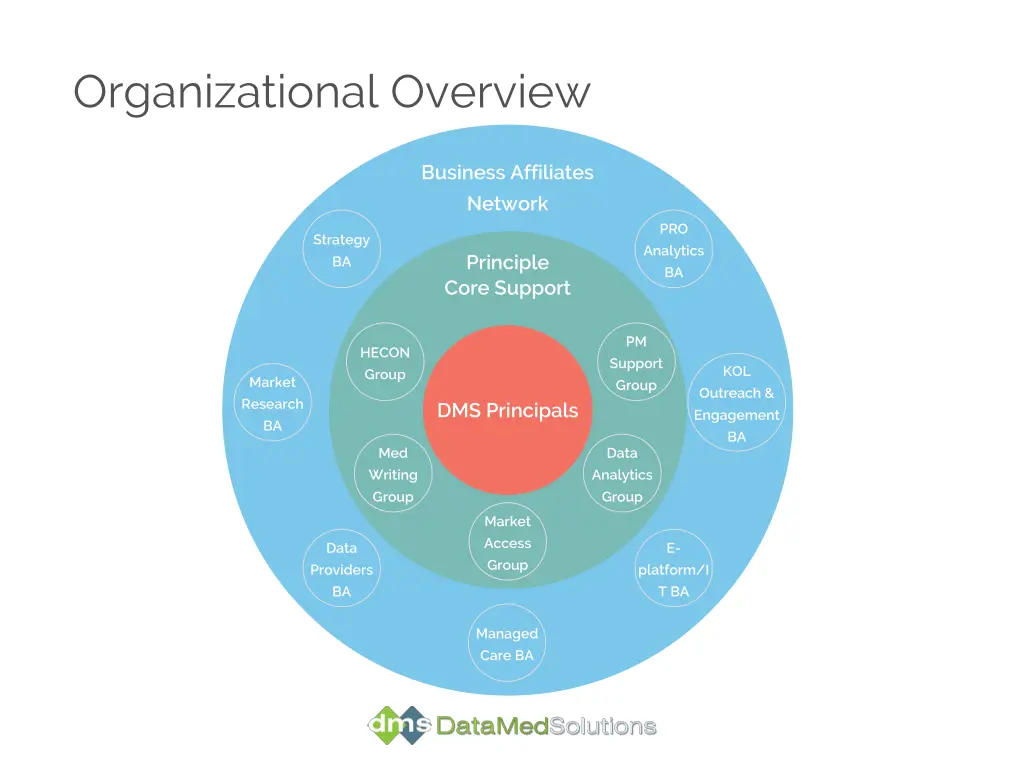 organizational overview