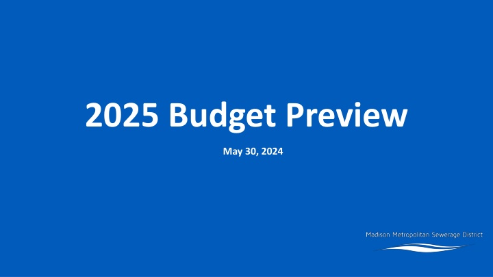 2025 budget preview