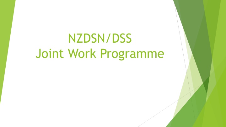 nzdsn dss joint work programme