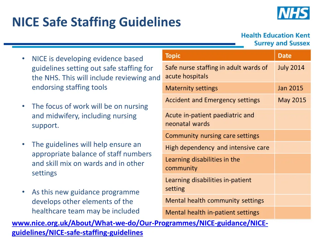 nice safe staffing guidelines