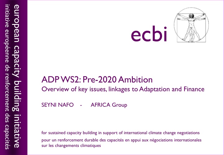 initiative europ enne de renforcement des capacit
